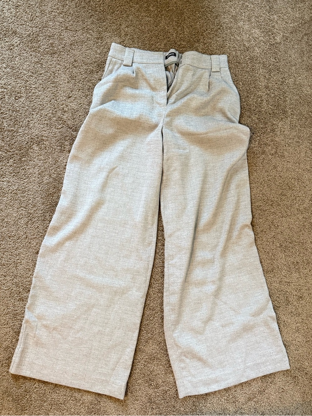 Express Wide-Leg Dress Pants in Light Beige